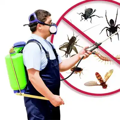pest control Oakbrook
